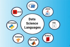 course_image